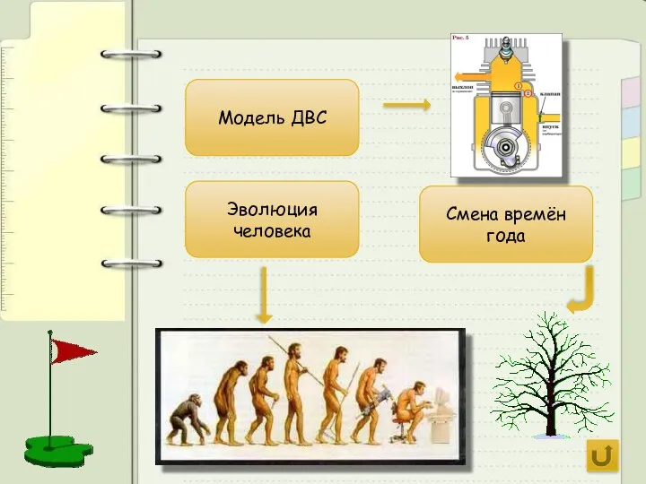 Модель ДВС Смена времён года Эволюция человека