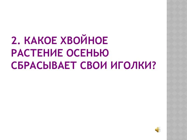 2. КАКОЕ ХВОЙНОЕ РАСТЕНИЕ ОСЕНЬЮ СБРАСЫВАЕТ СВОИ ИГОЛКИ?