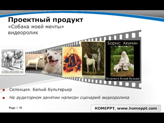 Проектный продукт «Собака моей мечты» видеоролик Селекция. Белый бультерьер На аудиторном занятии написан