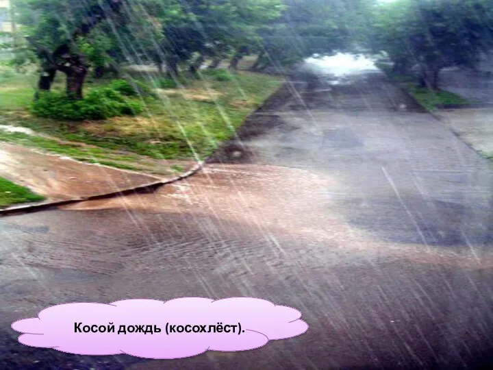 Косой дождь (косохлёст).