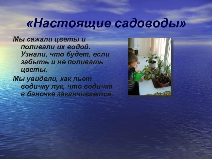 «Настоящие садоводы» Мы сажали цветы и поливали их водой. Узнали, что будет, если