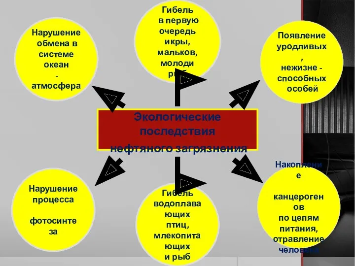 Экологические последствия нефтяного загрязнения Нарушение обмена в системе океан -