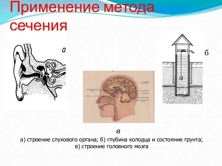 Применение метода сечения б а) строение слухового органа; б) глубина колодца и состояние
