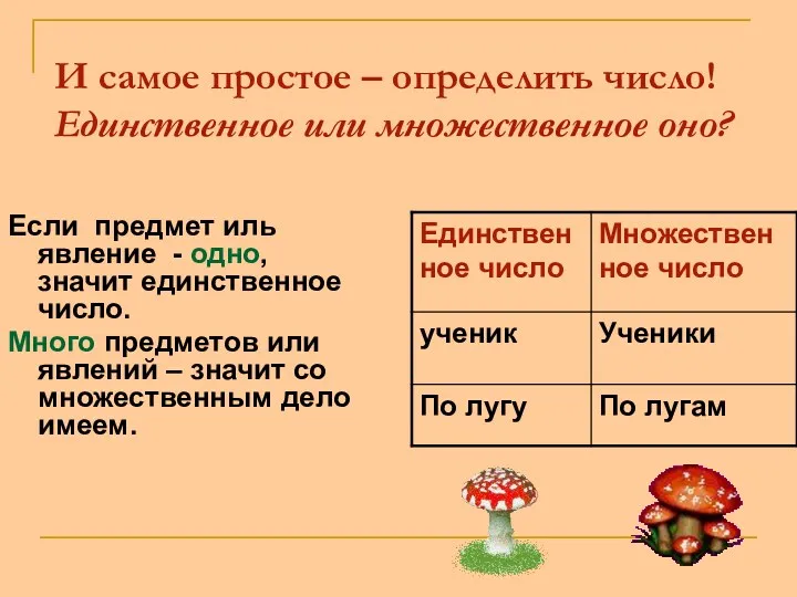 И самое простое – определить число! Единственное или множественное оно?