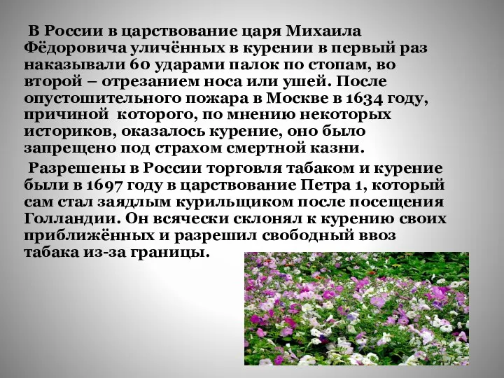 В России в царствование царя Михаила Фёдоровича уличённых в курении в первый раз