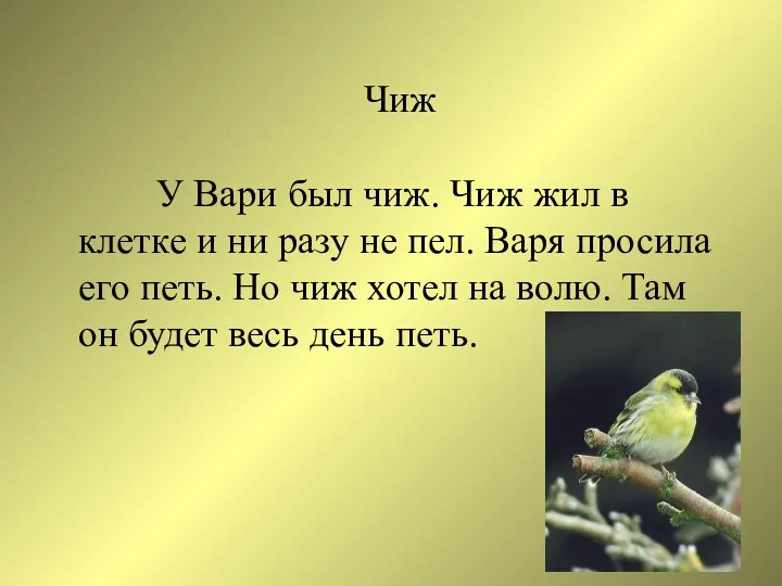 Чиж У Вари был чиж. Чиж жил в клетке и