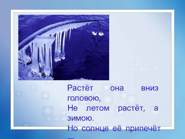 Растёт она вниз головою, Не летом растёт, а зимою. Но