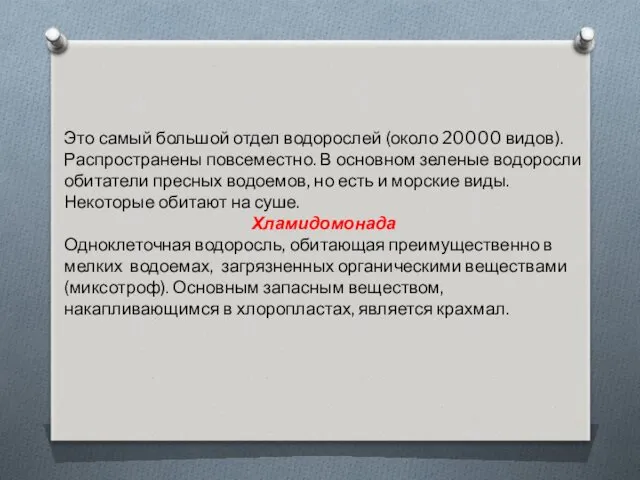 Это самый большой отдел водорослей (около 20000 видов). Распространены повсеместно.