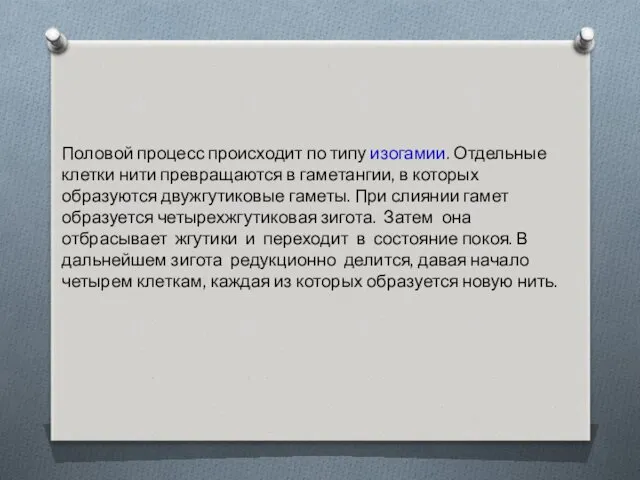 Половой процесс происходит по типу изогамии. Отдельные клетки нити превращаются