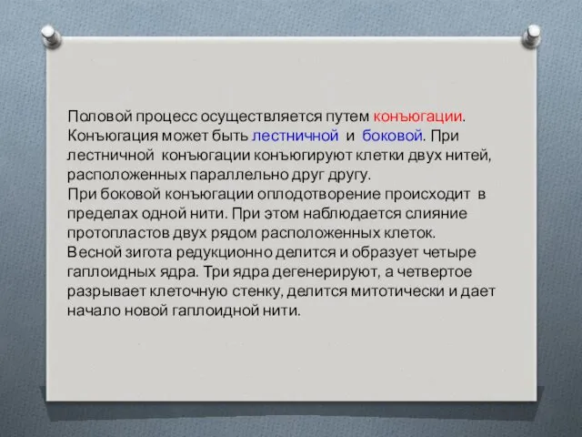 Половой процесс осуществляется путем конъюгации. Конъюгация может быть лестничной и