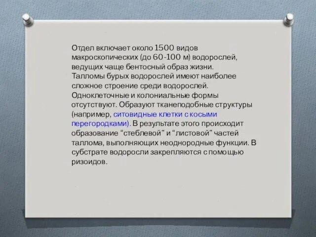 Отдел включает около 1500 видов макроскопических (до 60-100 м) водорослей,