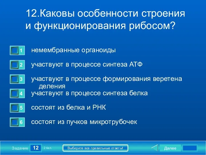 12 Задание Выберите все правильные ответы! 12.Каковы особенности строения и