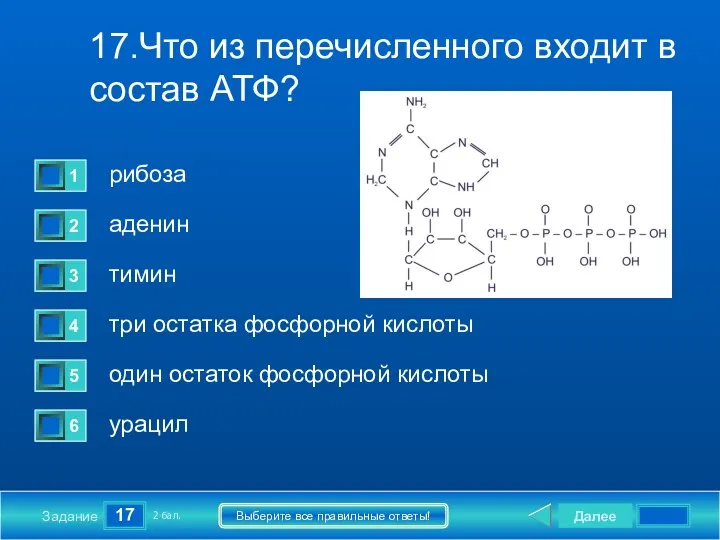 17 Задание Выберите все правильные ответы! 17.Что из перечисленного входит в состав АТФ?