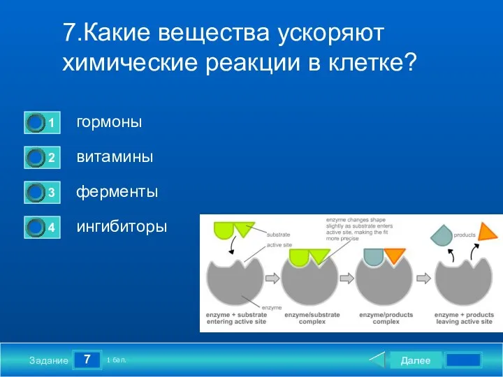 7 Задание 7.Какие вещества ускоряют химические реакции в клетке? гормоны витамины ферменты ингибиторы Далее 1 бал.