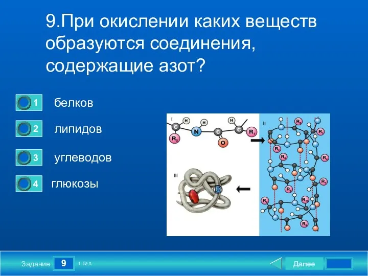 9 Задание 9.При окислении каких веществ образуются соединения, содержащие азот? белков липидов углеводов