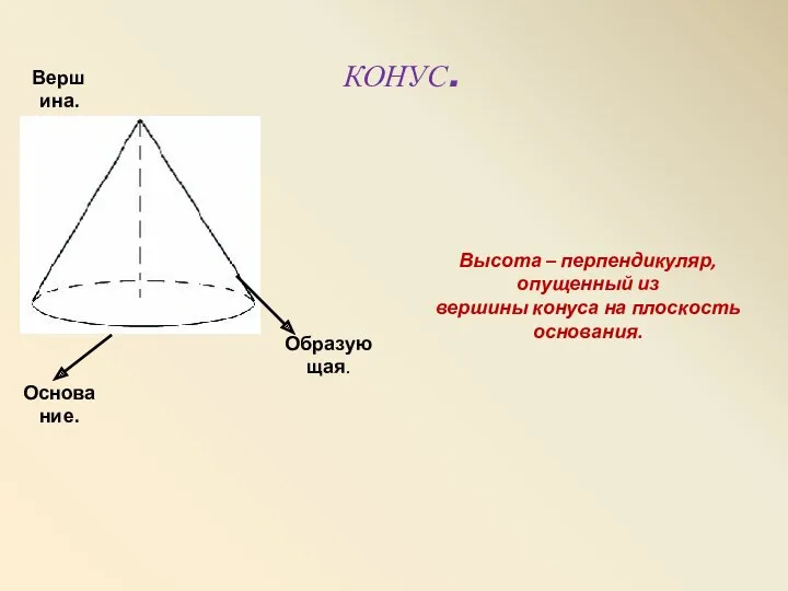 КОНУС. Вершина. Основание. Образующая. Высота – перпендикуляр, опущенный из вершины конуса на плоскость основания.