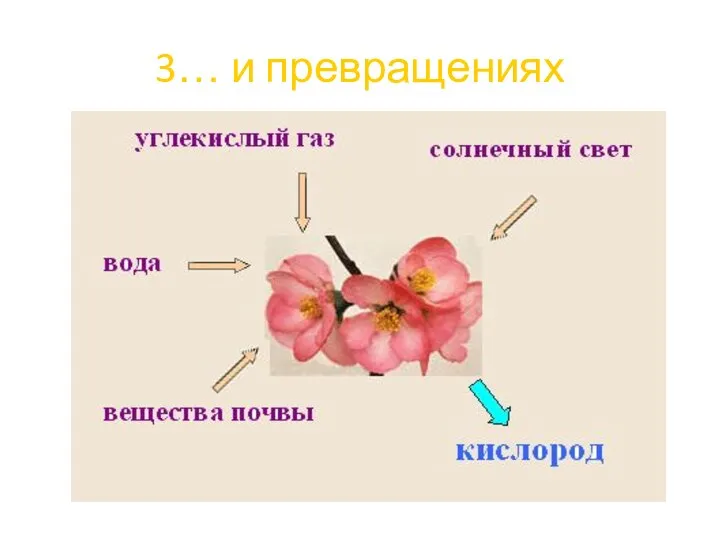 3… и превращениях