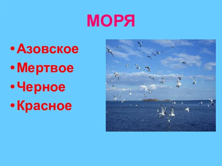 МОРЯ Азовское Мертвое Черное Красное