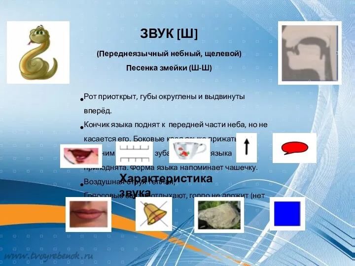 ЗВУК [Ц] Песенка кузнечика (Ц-Ц) Рот приоткрыт. Губы в улыбке.