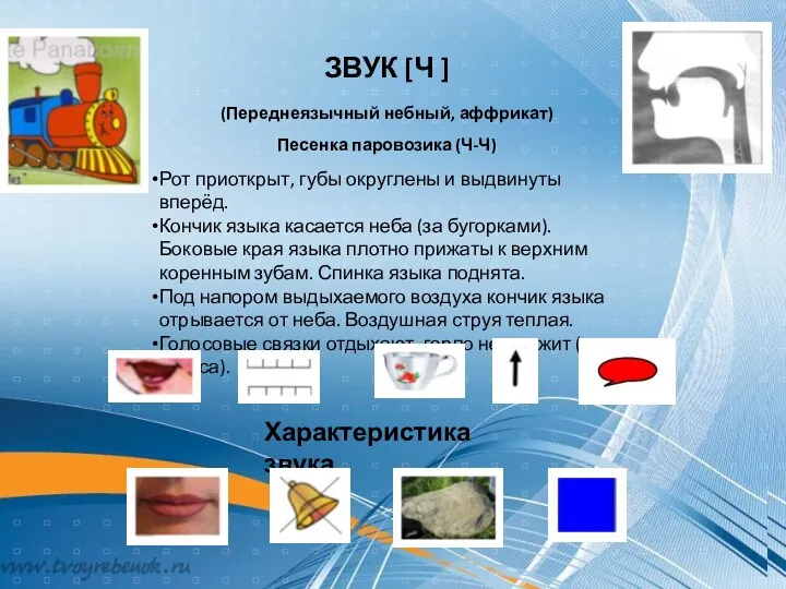 ЗВУК [Ц] Песенка кузнечика (Ц-Ц) Рот приоткрыт. Губы в улыбке.