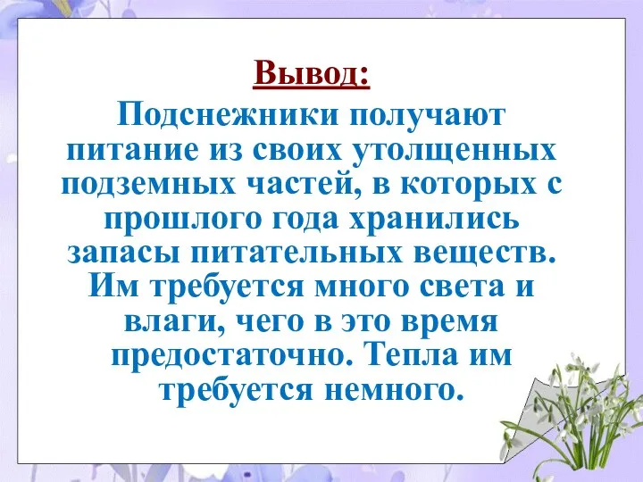 Вывод: Подснежники получают питание из своих утолщенных подземных частей, в