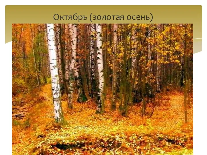 Октябрь (золотая осень)