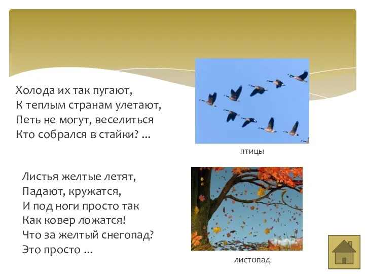 Холода их так пугают, К теплым странам улетают, Петь не могут, веселиться Кто