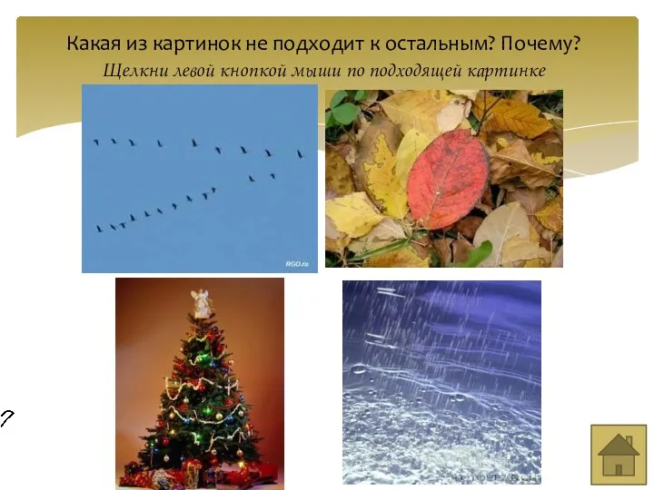 Какая из картинок не подходит к остальным? Почему? Щелкни левой кнопкой мыши по подходящей картинке