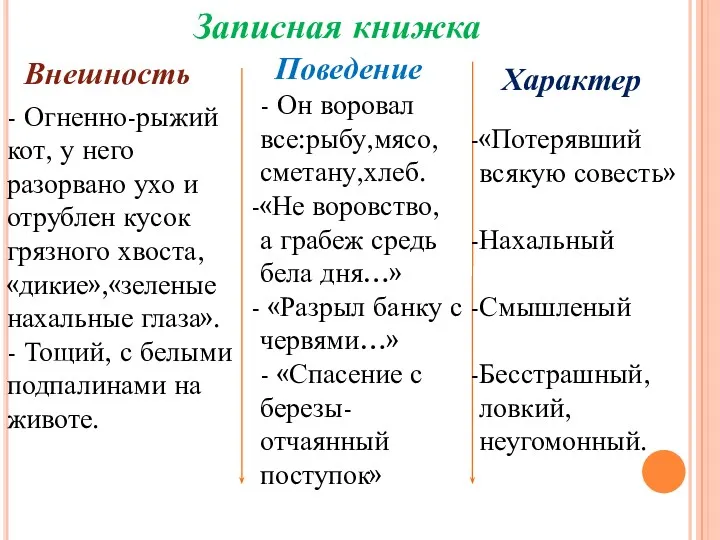 Записная книжка Внешность Поведение Характер - Огненно-рыжий кот, у него