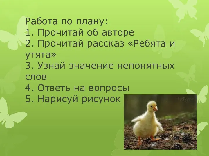 Работа по плану: 1. Прочитай об авторе 2. Прочитай рассказ