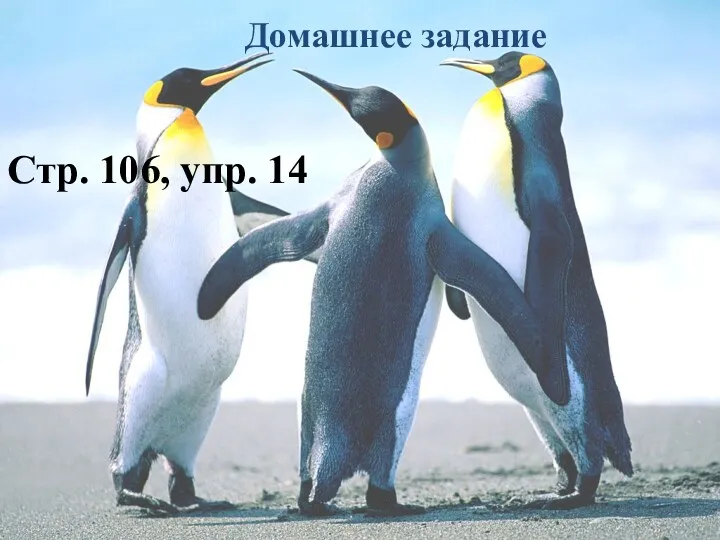 Домашнее задание Стр. 106, упр. 14