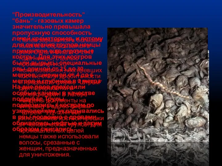 "Производительность" "бань" - газовых камер значительно превышала пропускную способность печей