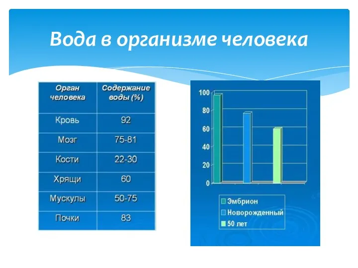 Вода в организме человека