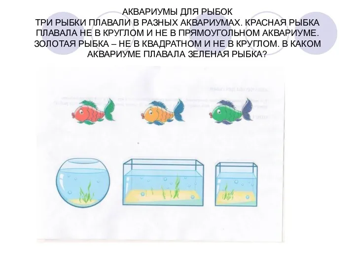 АКВАРИУМЫ ДЛЯ РЫБОК ТРИ РЫБКИ ПЛАВАЛИ В РАЗНЫХ АКВАРИУМАХ. КРАСНАЯ