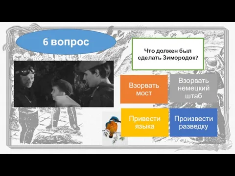 Что должен был сделать Зимородок? 6 вопрос