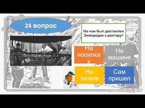 На чем был доставлен Зимородок к доктору? 24 вопрос