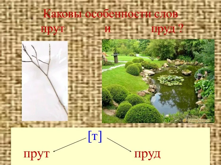 Каковы особенности слов прут и пруд ? [т] прут пруд