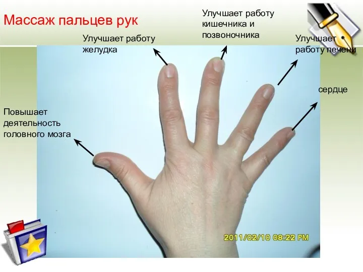 Массаж пальцев рук Повышает деятельность головного мозга Улучшает работу желудка Улучшает работу кишечника
