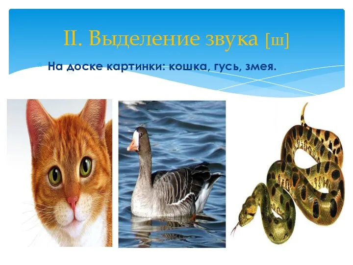 На доске картинки: кошка, гусь, змея. II. Выделение звука [ш]