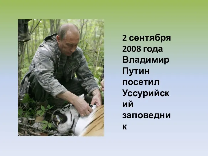 2 сентября 2008 года Владимир Путин посетил Уссурийский заповедник