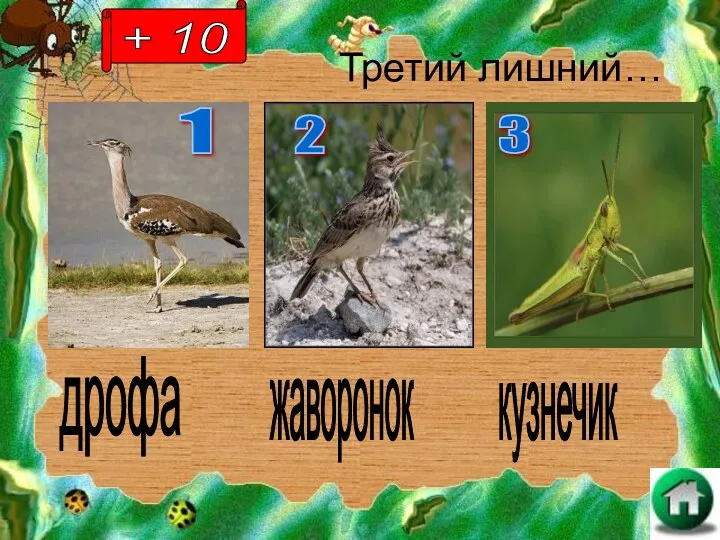 Третий лишний… дрофа жаворонок кузнечик + 10 1 2 3