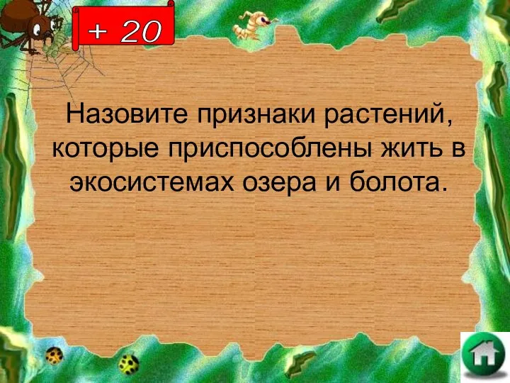 Назовите признаки растений, которые приспособлены жить в экосистемах озера и болота. + 20