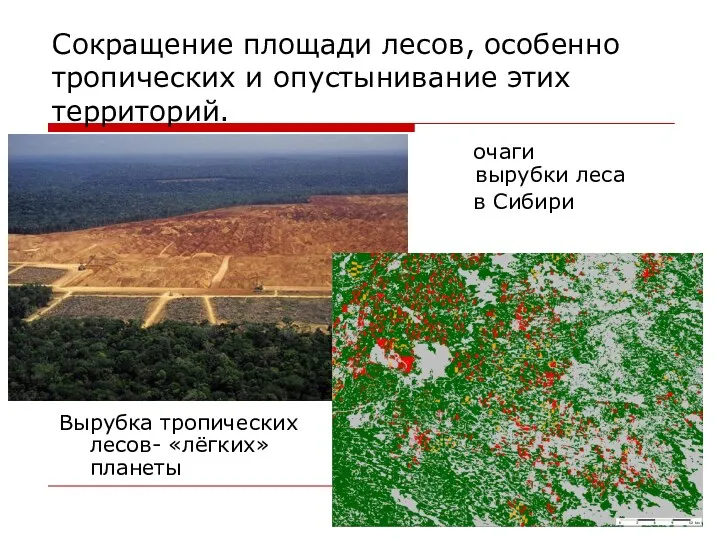 Сокращение площади лесов, особенно тропических и опустынивание этих территорий. Вырубка