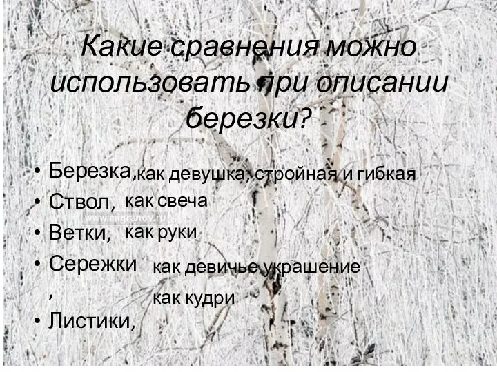 Какие сравнения можно использовать при описании березки? Березка, Ствол, Ветки,