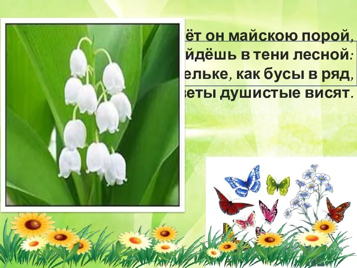 Цветёт он майскою порой, Его найдёшь в тени лесной: На стебельке, как бусы