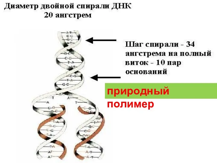 природный полимер