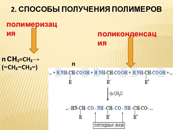 2. СПОСОБЫ ПОЛУЧЕНИЯ ПОЛИМЕРОВ поликонденсация полимеризация n CH₂=CH₂→(−CH₂−CH₂−) n