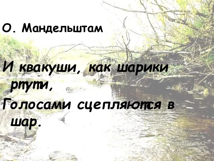 О. Мандельштам И квакуши, как шарики ртути, Голосами сцепляются в шар.