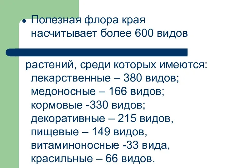 Полезная флора края насчитывает более 600 видов растений, среди которых