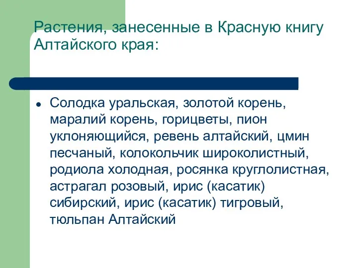 Растения, занесенные в Красную книгу Алтайского края: Солодка уральская, золотой